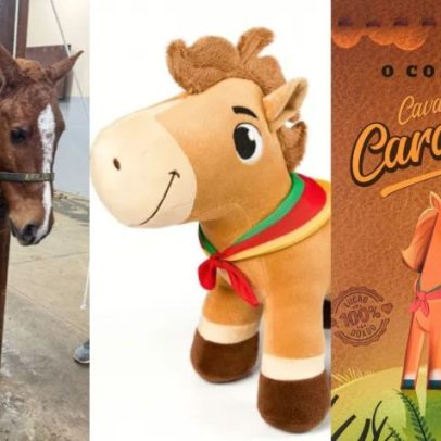Dois anos após resgate, cavalo Caramelo está bem e relembra caso
