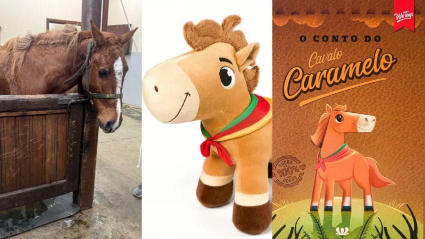 Cavalo Caramelo vira brinquedo e ajuda em escolas após enchentes no RS • Montagem CNN / Divulgação We Toys