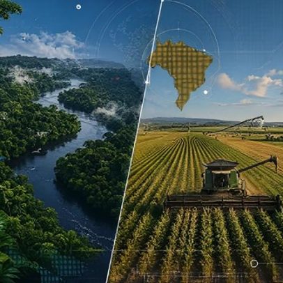 Amazônia e agronegócio elevam imagem do Brasil no exterior