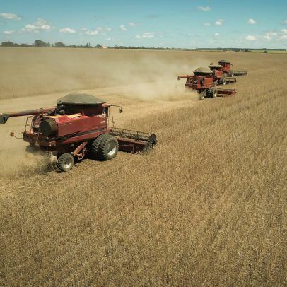 Senadores buscam ampliar renegociação de dívida rural com a Fazenda