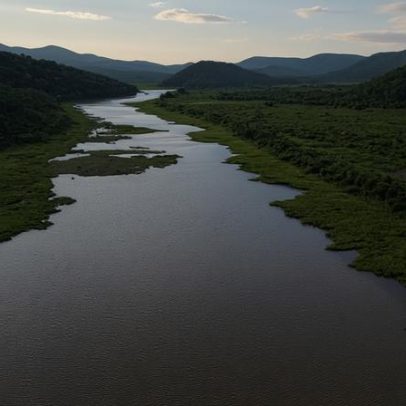 Nova Iniciativa Jaguar Rivers busca reconectar ecossistemas da América do Sul
