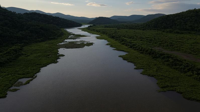 Nova Iniciativa Jaguar Rivers busca reconectar ecossistemas da América do Sul