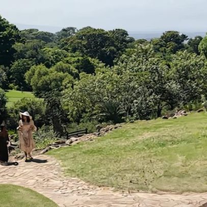 Conheça os jardins de Cidade do Cabo e aprenda sobre a natureza da África do Sul