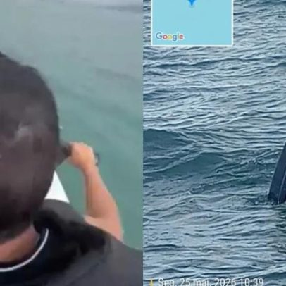 Companheiro da mulher resgatada continua desaparecido após sumiço no mar