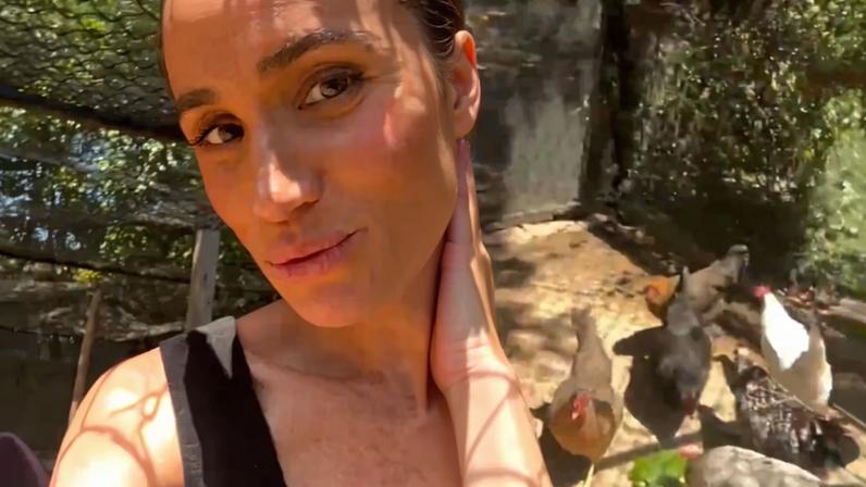 Casa de Meghan Markle abriga galinhas resgatadas de uma granja industrial