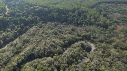 Vista aérea da RPPN Lontra Bracell na Bahia, certificada como Posto Avançado da Reserva de Biosfera da Mata Atlântica pela Organização das Nações Unidas para a Educação, a Ciência e a Cultura (Unesco).