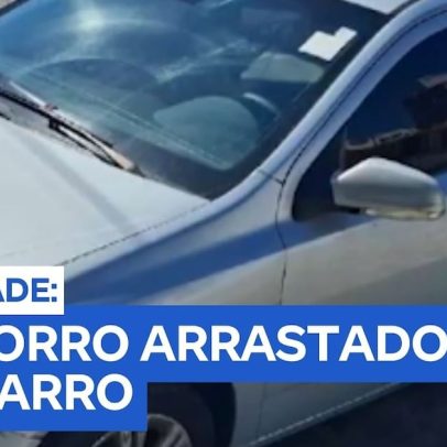 Cachorro morre após ferimentos provocados por puxão de carro em movimento