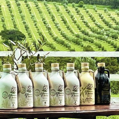Produtora gaúcha vence competição internacional de azeites diante de europeus
