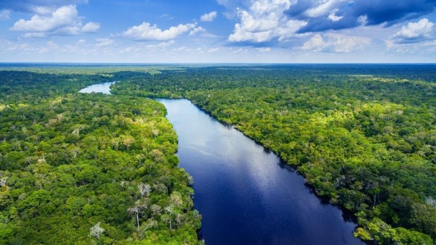 Poeira do Saara ajuda transportar nutrientes essenciais para manter a floresta amazônica saudável. (Imagem: Getty Images via Canva)