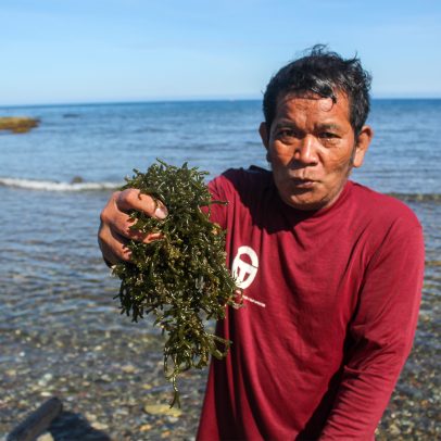 Pescadores e povos indígenas temem boom de energia limpa no reduto de Marcos