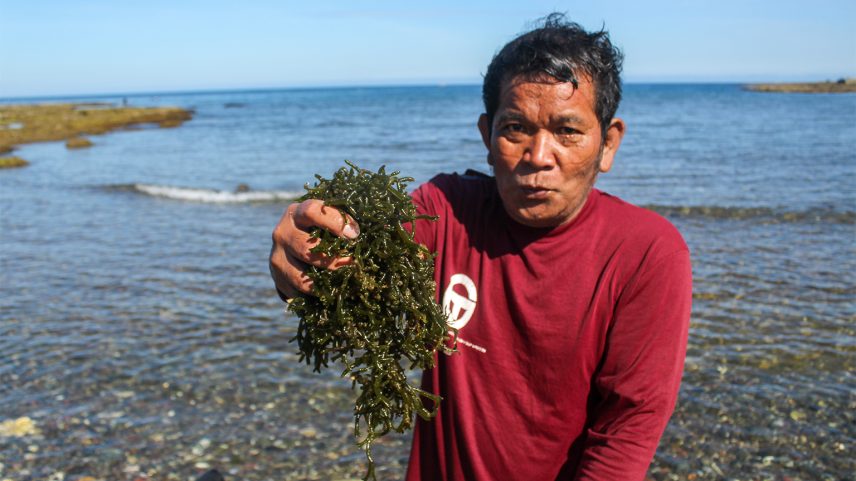 Pescadores e povos indígenas temem boom de energia limpa no reduto de Marcos