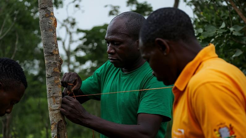 Installing an IFAW-supported temporary solar fence in Chikomeni chiefdom, within the Malawi-Zambia Transfrontier Conservation Area, to deter human-elephant conflict. Image courtesy of IFAW.