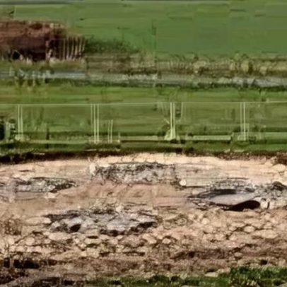 English Heritage recria galpão neolítico de 4.500 anos próximo a Stonehenge