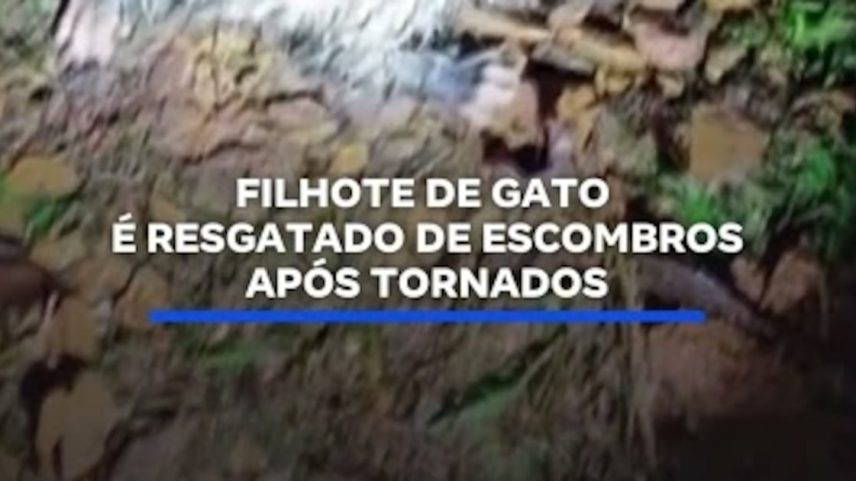 Reprodução canal do Youtube Record News