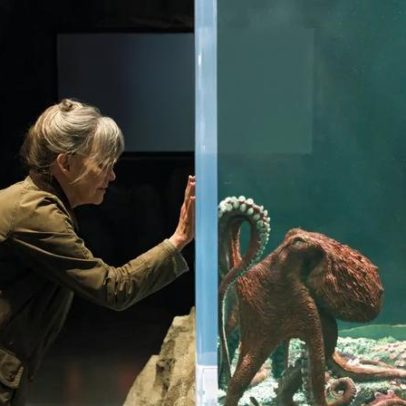Filme da Netflix retrata amizade improvável entre idosa e polvo gigante