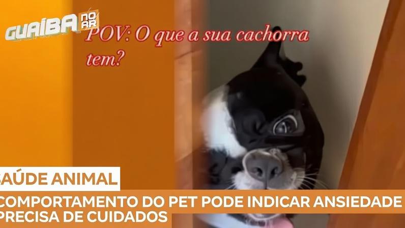 Reprodução canal do Youtube Record Guaiba