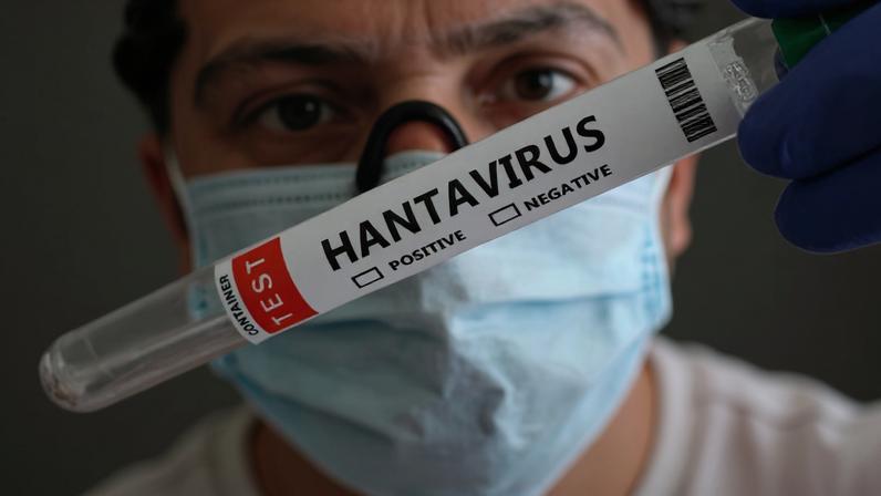 Surto de hantavírus em cruzeiro: OMS confirma seis casos e alerta riscos