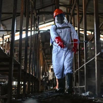 Mortes suspeitas por ebola na África chegam a 220, segundo OMS