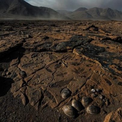 Fósseis bem preservados de lago do Triássico são encontrados no Atacama, Chile