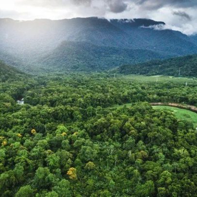 Aquecimento global pressiona vegetação rumo ao colapso, aponta estudo