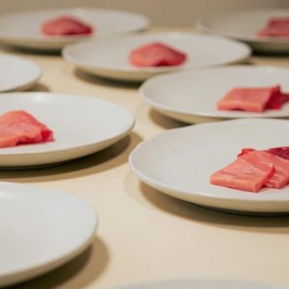 Do leilão milionário ao prato: o fascínio pelo atum bluefin