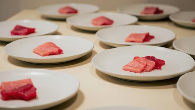 Cortes de bluefin da Frescatto, marca que traz da Espanha a iguaria
