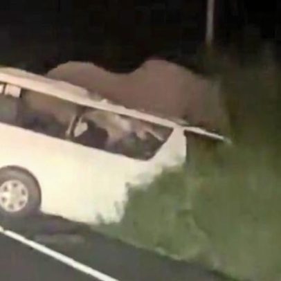 Três mortos após veículo atingir elefante em estrada cercada por animais