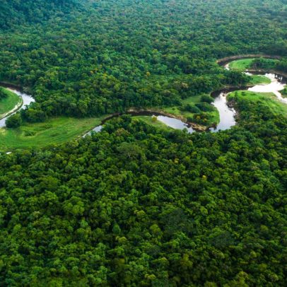 Design na integridade pública combate corrupção: exemplo do Fundo Amazônia