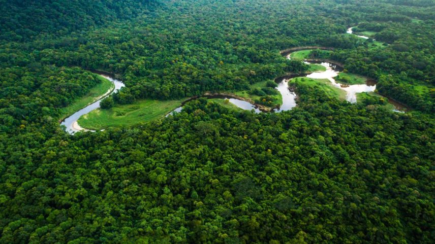 Design na integridade pública combate corrupção: exemplo do Fundo Amazônia