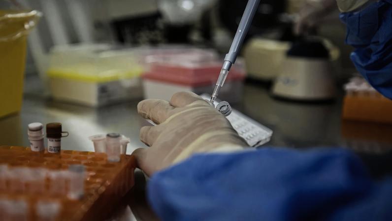 A technician demonstrates transferring cell samples in a research lab