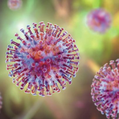Hantavírus e o risco de nova pandemia: o que a ciência diz