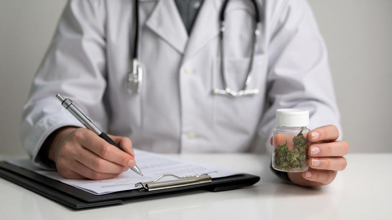 INOVAÇÕES Lançamento de um assistente virtual para prescrição da cannabis medicinal é um dos atrativos (MasterKeySystem/Getty Images)