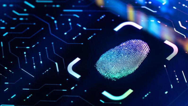 A Didit quer ser a ‘Stripe da identidade digital.’ Esses fundos compraram a ideia