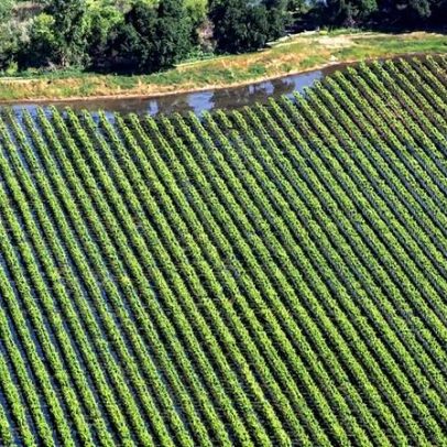 Guerra no Irã ameaça bilhões de refeições e afeta América Latina
