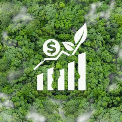 Regras para exportação de ITMOs colocam Brasil no topo do mercado de remoção de carbono