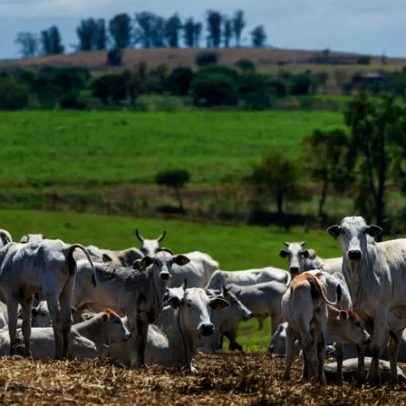 PIB cresce 1,1% e atinge 3,3 trilhões no 1º trimestre de 2026