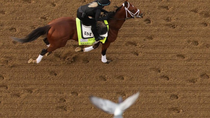 Renegade trains on the track during morning workouts ahead of the running of the 152nd Kentucky Derby.