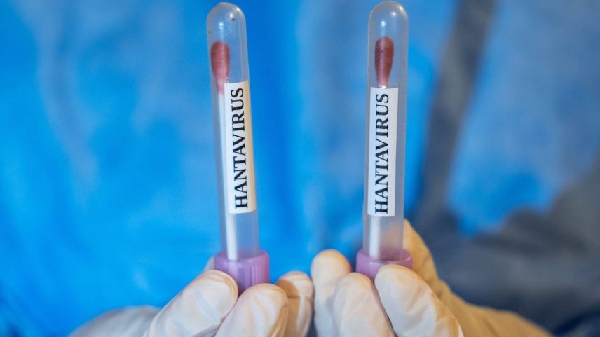 Amostras de hantavírus: agente infeccioso no radar da OMS (Foto: Anadolu/Getty Images)