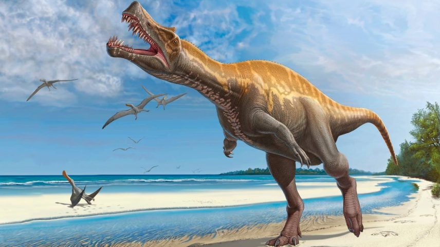 CARNÍVORO - Representação artística do lendário animal: um dos maiores que habitaram as terras brasileiras