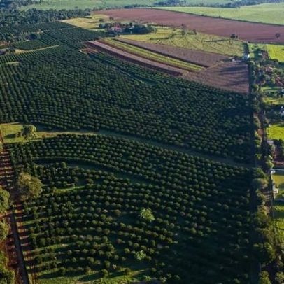Guerra e El Niño elevam custos e preços do agro