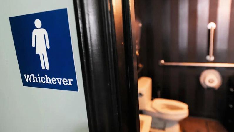 Placa azul com ícone branco de pessoa e a palavra "Whichever" (Qualquer um), indicando um banheiro unissex. Ao fundo, um vaso sanitário e barras de apoio em um banheiro escuro