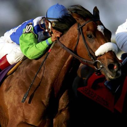 Barbaro: 20 anos de lembrança do cavalo amado pelos fãs