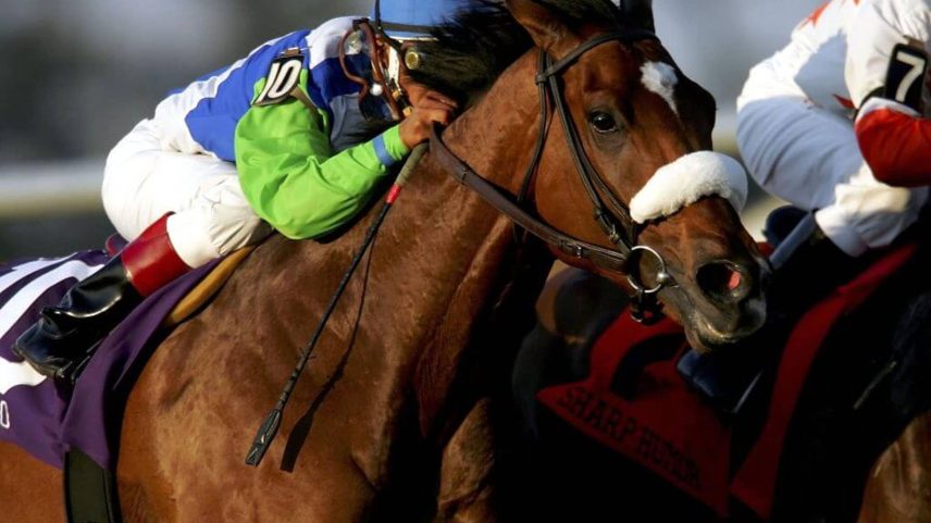 Barbaro became a horse racing legend despite his untimely death.