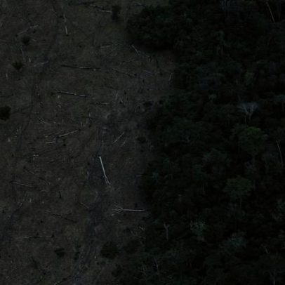 Fragmentação do bioma brasileiro triplicou nas últimas quatro décadas