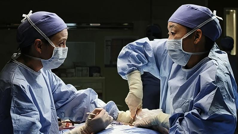 Grey's Anatomy é um dos maiores sucessos entre as séries médicas, com 21 temporadas