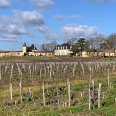 Bordeaux 2025 en primeur: Sauternes e Barsac, muito ricos e potentes