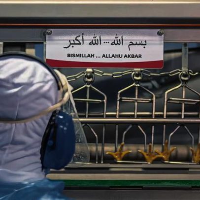 Fundo saudita mira até 40% na Sadia Halal antes de IPO