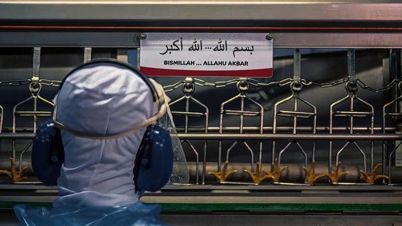 Joint venture da MBRF com a HPDC mira 350 milhões de consumidores