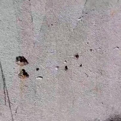 Homem atira contra viatura da PM e é preso após perseguição no Barreiro, BH