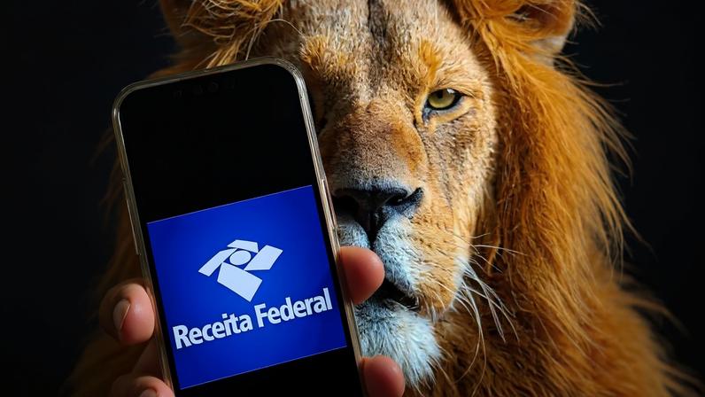 Receita libera consulta ao primeiro lote do IR 2026